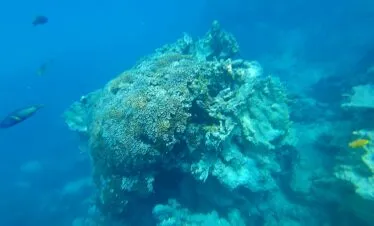 Beautiful Blue Lagoon — image 5