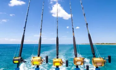 Fishing Adventures — image 3