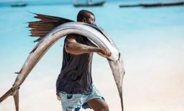 Fishing Adventures — image 6