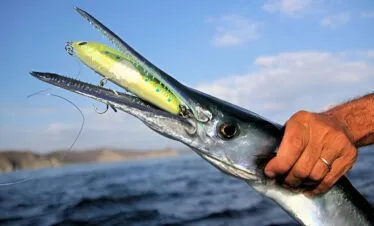 Fishing Adventures — image 4