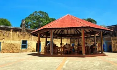 Prison Island & Tortoises — image 5