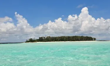 Mnemba · Natural Aquarium · Kendwa — image 3