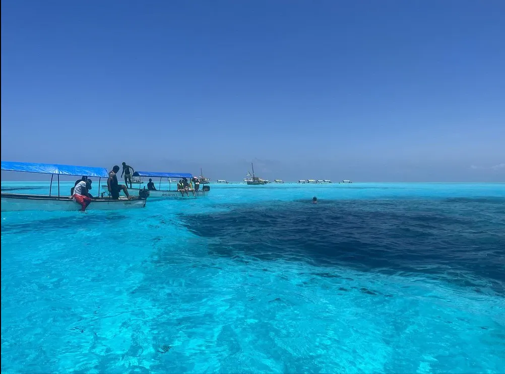 Mnemba Island Snorkel — image 2