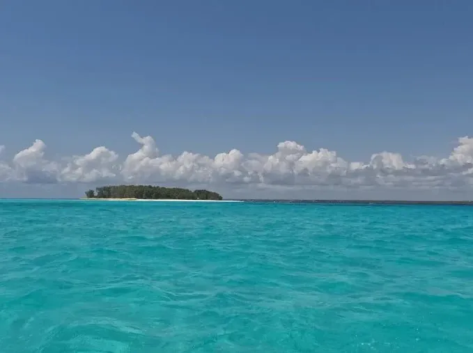 Mnemba Island Snorkel — image 3