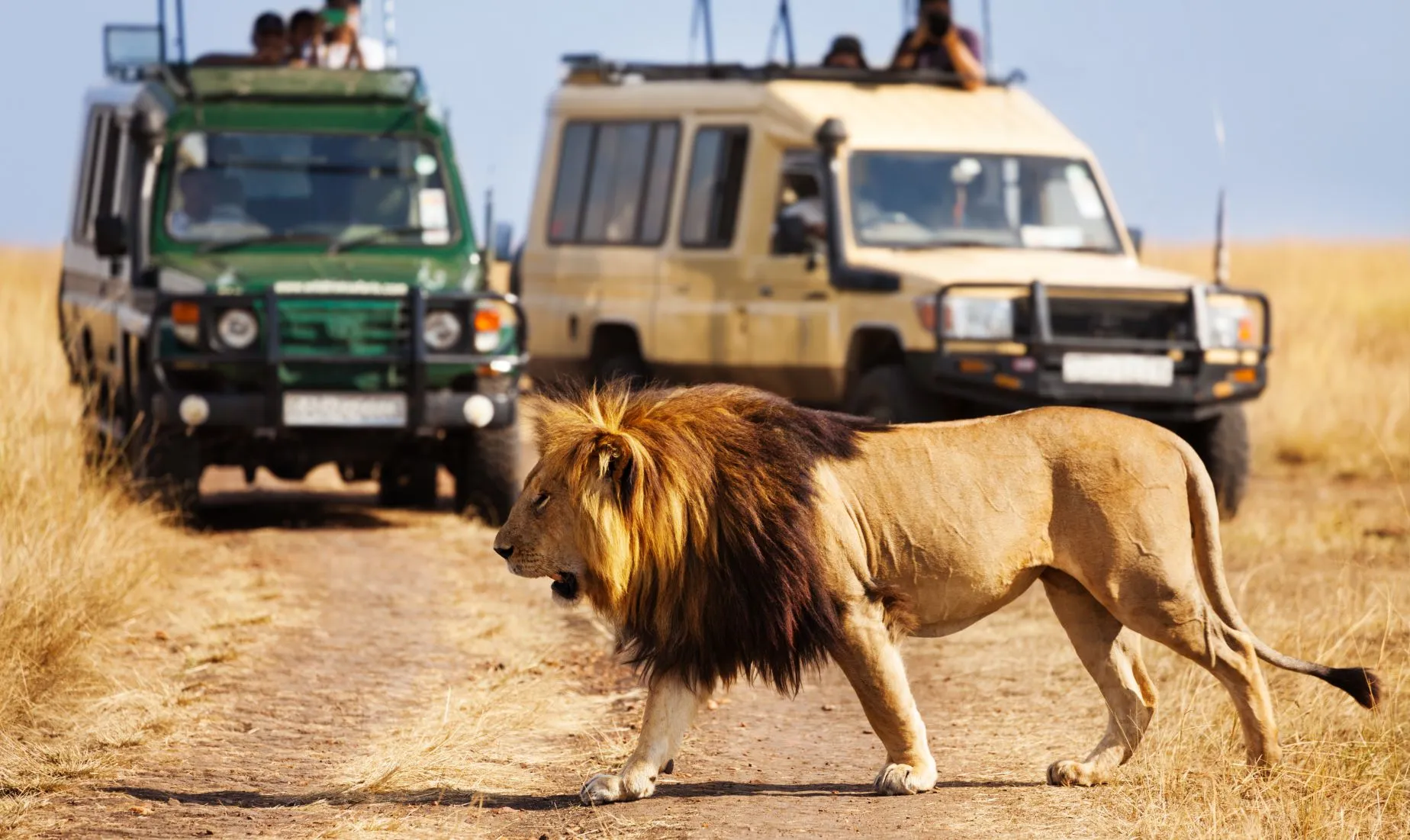 Selous Game Reserve — image 5