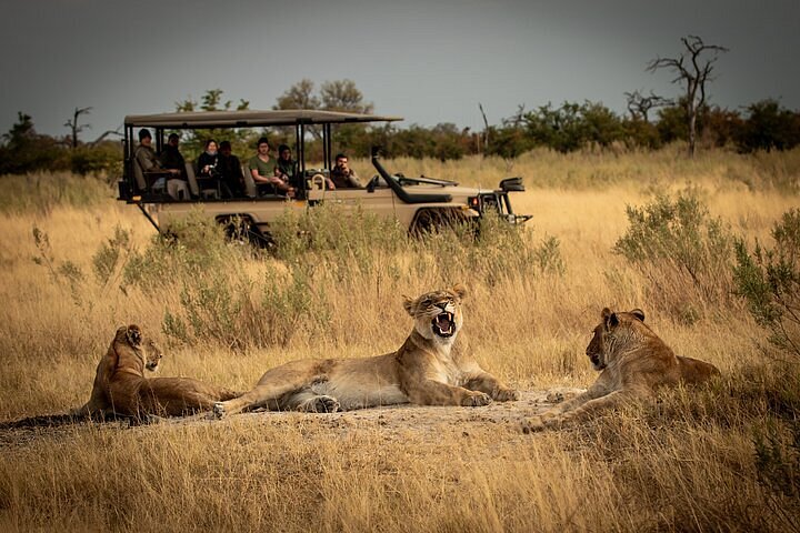 Game Drives