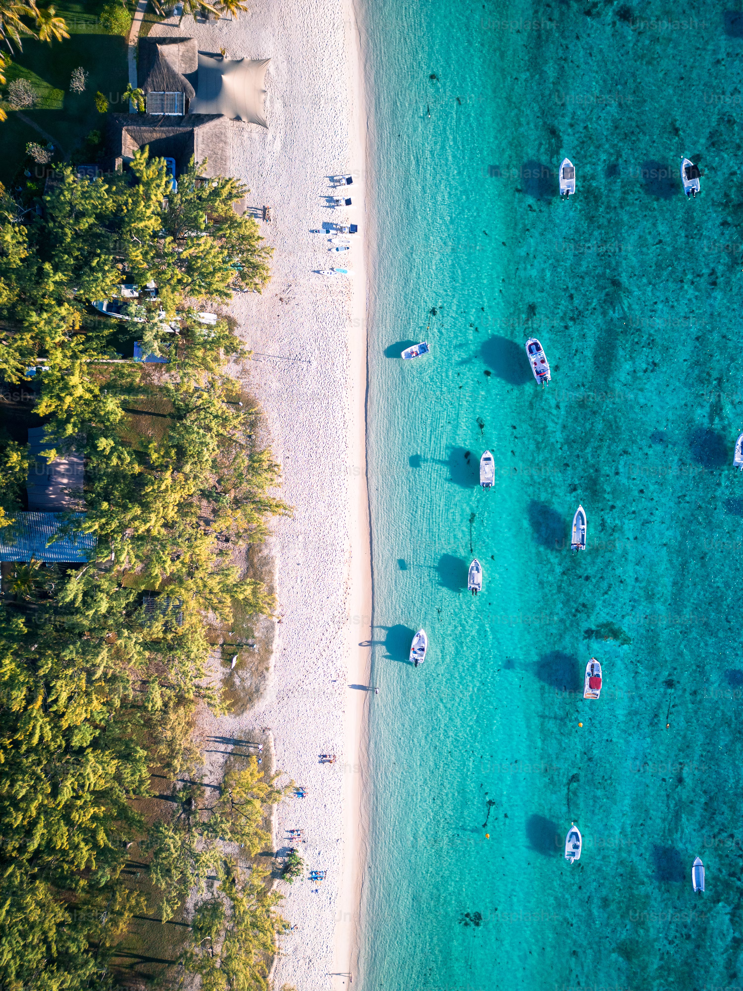 Zanzibar coastline — aerial